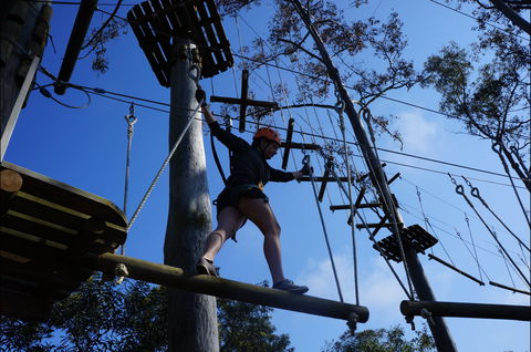 Trees Adventure Nowra Park - Accommodation China 0