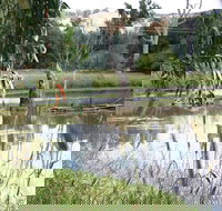 Tumut Wetlands - Accommodation China