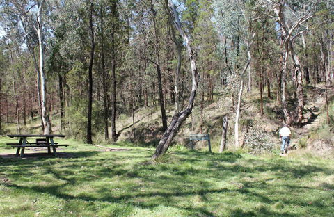 Wallaby Walking Track - Accommodation Guide 0