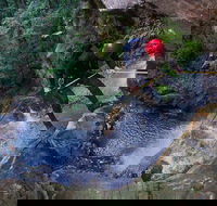 Small-Group Full-Day Canyoning and Abseiling Adventure from Katoomba - Accommodation Guide