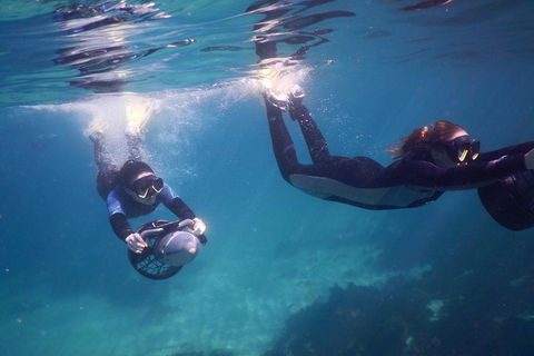 Small-Group Underwater Scooter Experience In Clovelly - Accommodation Guide 0