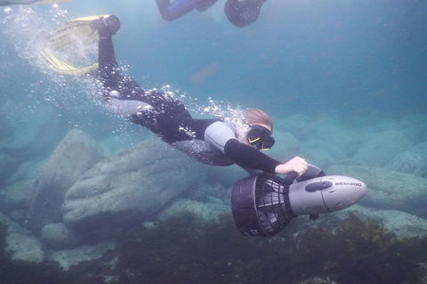 Small-Group Underwater Scooter Experience In Clovelly - Accommodation Guide 7