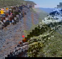 Small-Group Half-Day Abseiling Adventure from Katoomba - Accommodation Guide