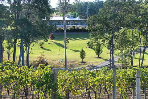 Tulloch Wines - Wine Tasting Paired With Local Handmade Chocolates - Accommodation Asia 4