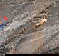 Small-Group Full-Day Rock Climbing Adventure from Katoomba - Accommodation Guide