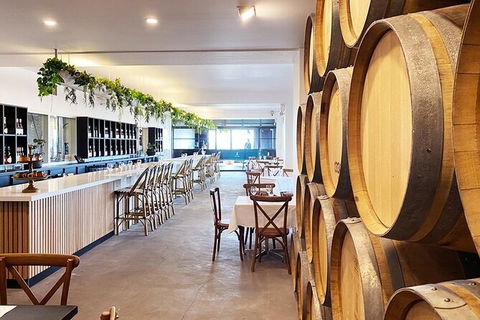 Bimbadgen Vineyard: Picnic And Premium Wine Tasting - Accommodation Asia 1