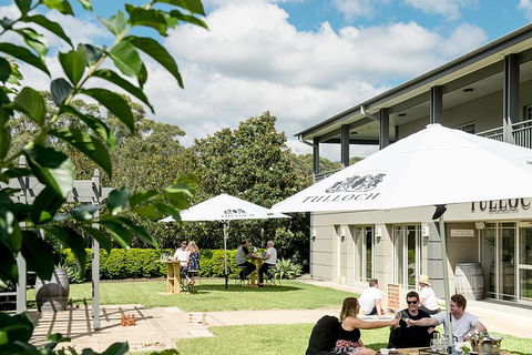 Tulloch Wines- Premium Museum Aged Wine Tasting With Cheese And Charcuterie - Accommodation Asia 7