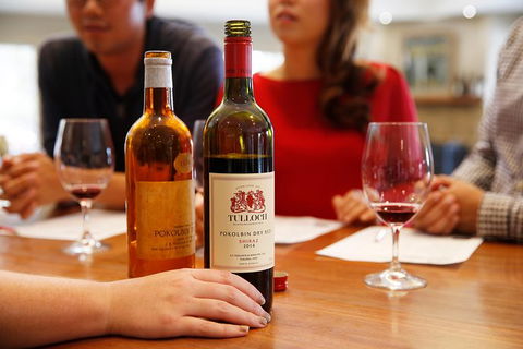 Tulloch Wines- Premium Museum Aged Wine Tasting With Cheese And Charcuterie - Accommodation Asia 6