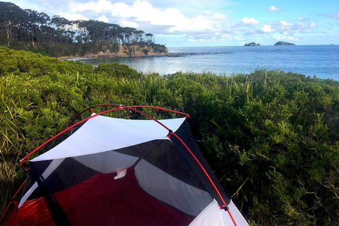 Batemans Bay Overnight Kayak Camping Tour - All Inclusive - Accommodation Asia 0