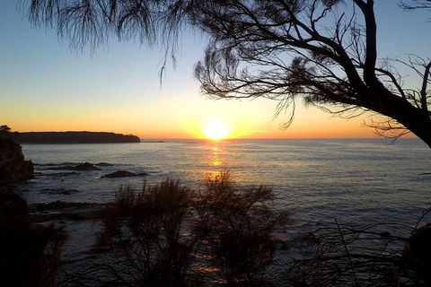 Batemans Bay Overnight Kayak Camping Tour - All Inclusive - Accommodation Asia 1