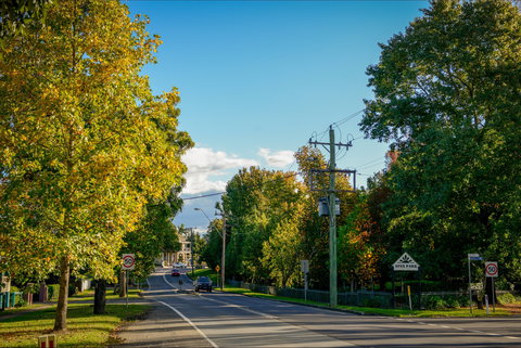 Berry Cycling Routes - Accommodation China 0