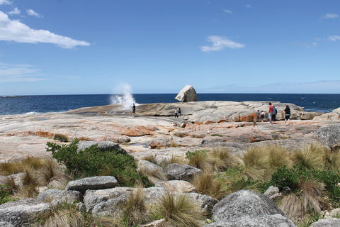 Bicheno Blowhole - Accommodation China 1