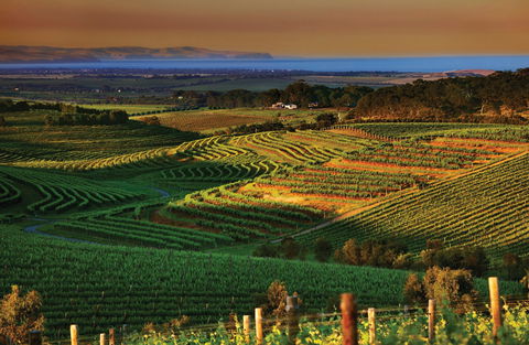 Mclaren Vale - Accommodation Asia 1
