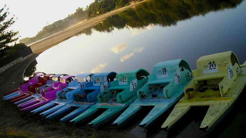 Terrigal Paddle Boats And Stand Up Paddle Boards - Accommodation Guide 0