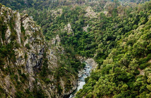 Tiara Walking Track - Accommodation China 0