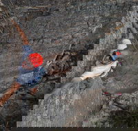 Small-Group Weekend Rock Climbing Adventure from Katoomba - Accommodation Guide
