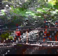 Glow Worm Tunnel Hike - Accommodation Guide