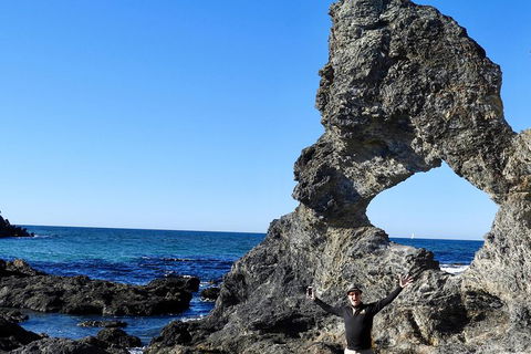 Narooma And Tilba Valley Private Tour - Accommodation Asia 4