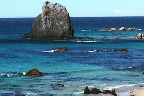 Narooma And Tilba Valley Private Tour - Accommodation Asia 9