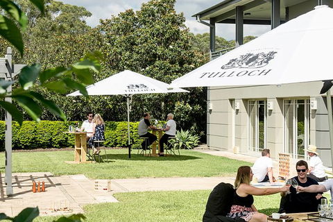 Tulloch Wines- Mystery Wine Tasting Experience With Local Cheese And Charcuterie - Accommodation Asia 5