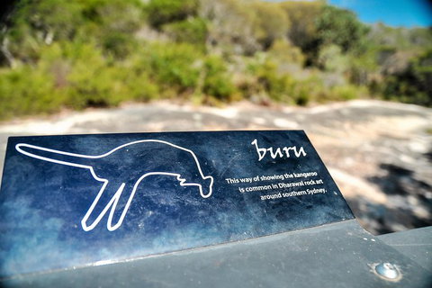 Kiama SouthCoast Uncovered, Beaches, Bush & Sunset PRIVATE Full Day Tour - Accommodation Guide 2