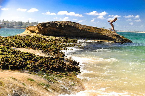 Kiama SouthCoast Uncovered, Beaches, Bush & Sunset PRIVATE Full Day Tour - Accommodation Guide 1
