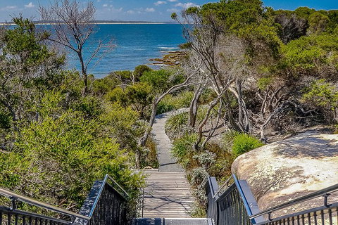 Kiama SouthCoast Uncovered, Beaches, Bush & Sunset PRIVATE Full Day Tour - Accommodation Guide 9