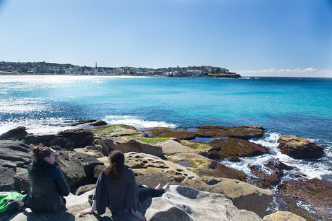 Kiama SouthCoast Uncovered, Beaches, Bush & Sunset PRIVATE Full Day Tour - Accommodation Guide 11