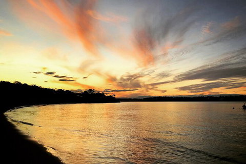 Kiama SouthCoast Uncovered, Beaches, Bush & Sunset PRIVATE Full Day Tour - Accommodation Guide 6