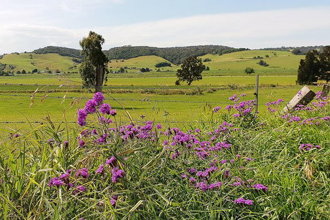 Kiama SouthCoast Uncovered, Beaches, Bush & Sunset PRIVATE Full Day Tour - Accommodation Guide 14