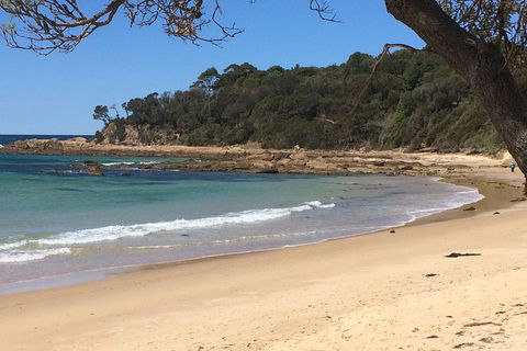 Highlights Of The Eurobodalla (half Day Private Tour) - Accommodation Asia 5