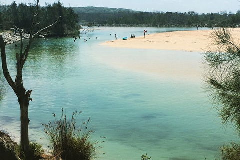Highlights Of The Eurobodalla (half Day Private Tour) - Accommodation Asia 6