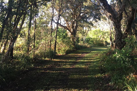 Coffs Harbour To Sawtell Bike Ride - Accommodation China 7