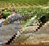 VIP Soil-To-Cellar Experience - Accommodation Asia