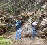 Newnes Ruins Walking Tour - Accommodation Guide