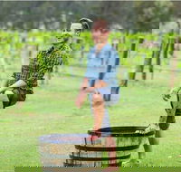 Hunter Valley Grape Stomping - Accommodation Asia