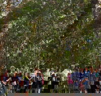 Breakfast Bushwalk Tour in Captain Cook's Monument - Accommodation Asia