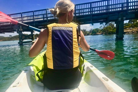 2-Hour Rental Kayak Double In Brunswick River - Accommodation China 3