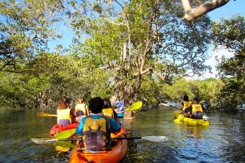 2-Hour Rental Kayak Double In Brunswick River - Accommodation China 2