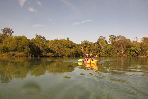2-Hour Rental Kayak Double In Brunswick River - Accommodation China 5