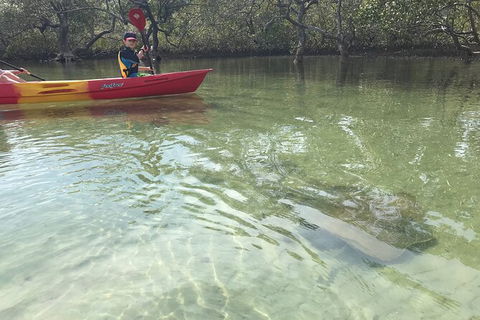 2-Hour Rental Kayak Double In Brunswick River - Accommodation China 6