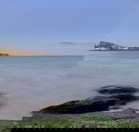 Phone Photography Workshop - Explore Coogee Beach - Accommodation Guide