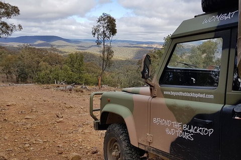 Ninety Minute Wombat Adventures Guided Tour - Accommodation Asia 1