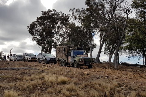 Ninety Minute Wombat Adventures Guided Tour - Accommodation Asia 2