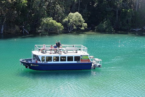 Byron Bay Rainforest Eco-Cruise - Accommodation China 0