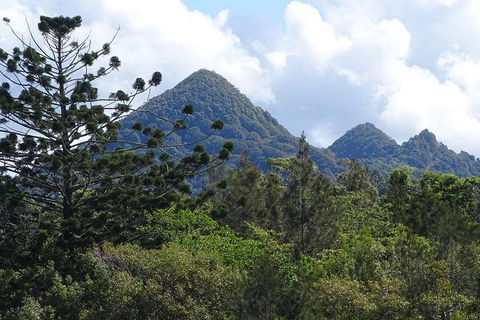 Byron Bay Rainforest Eco-Cruise - Accommodation China 3