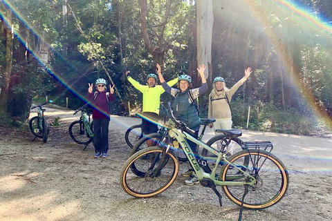 Guided E Bike Tour - Unicorn Falls & National Park - Accommodation Guide 3