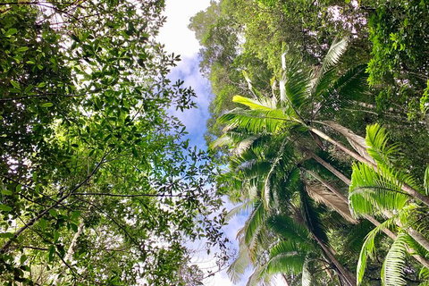 Guided E Bike Tour - Unicorn Falls & National Park - Accommodation Guide 5