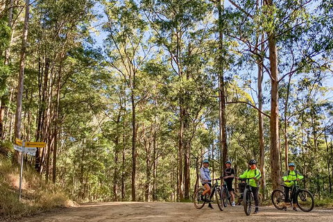Guided E Bike Tour - Unicorn Falls & National Park - Accommodation Guide 10