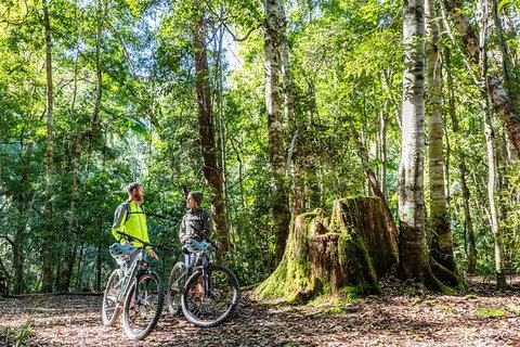 Guided E Bike Tour - Unicorn Falls & National Park - Accommodation Guide 14